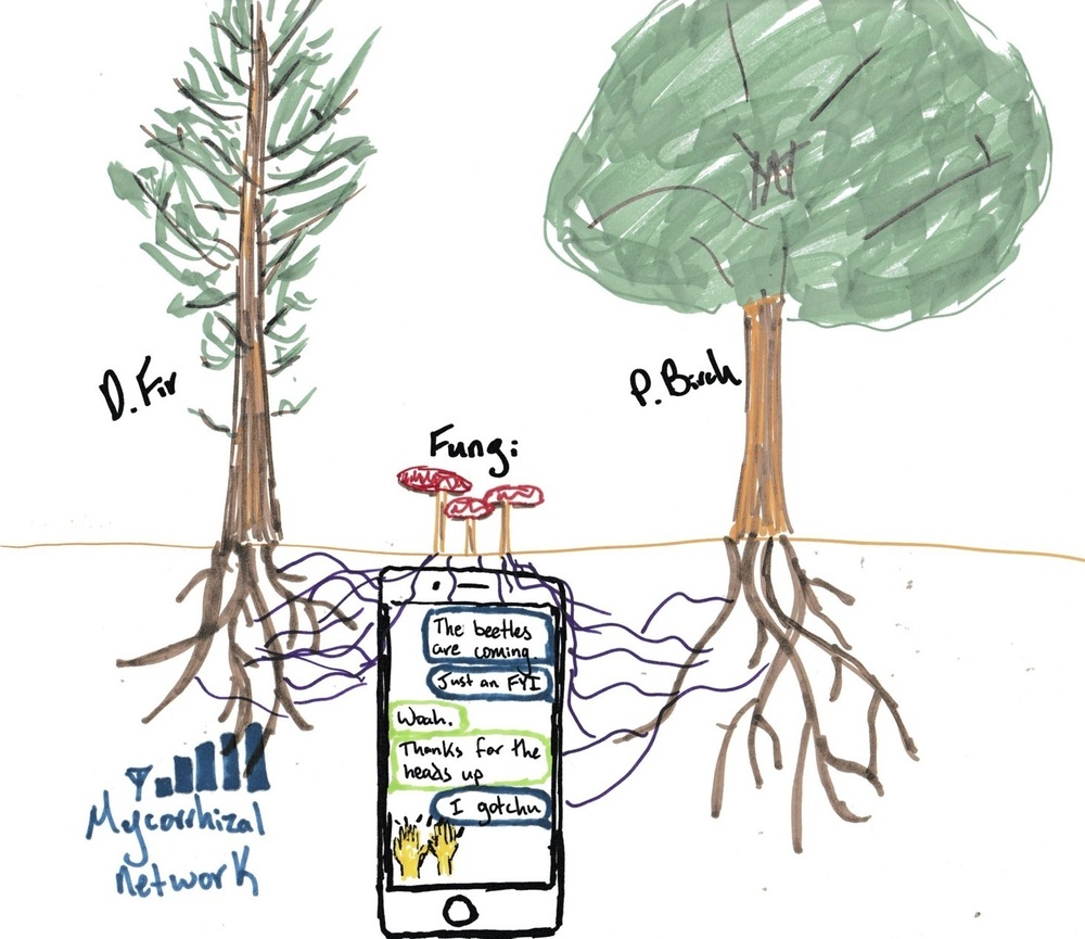 Ecologist Simard's Study